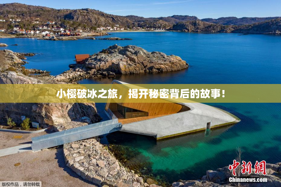 小樱破冰之旅，揭开秘密背后的故事！