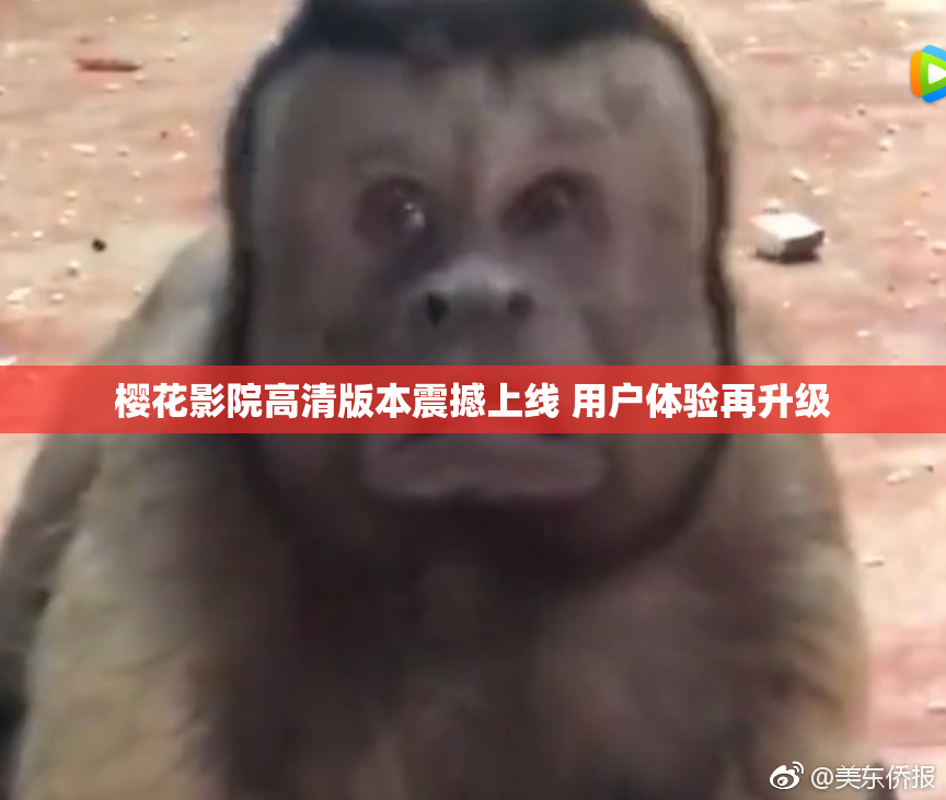 樱花影院高清版本震撼上线 用户体验再升级