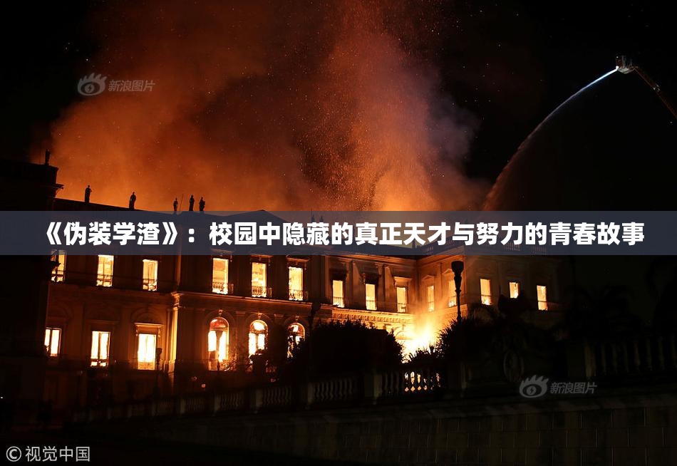 《伪装学渣》：校园中隐藏的真正天才与努力的青春故事