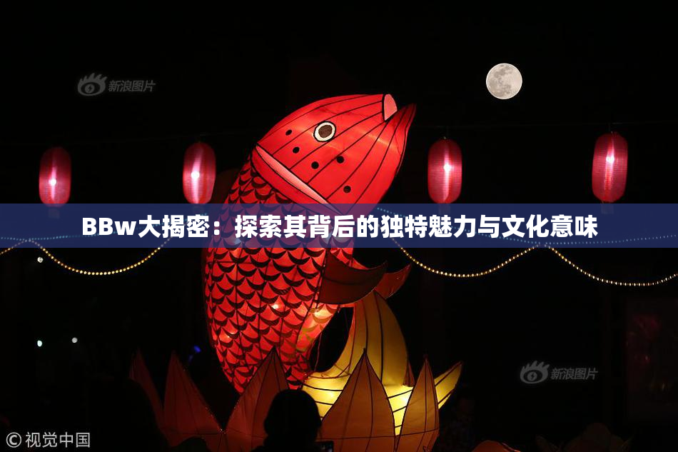 BBw大揭密：探索其背后的独特魅力与文化意味