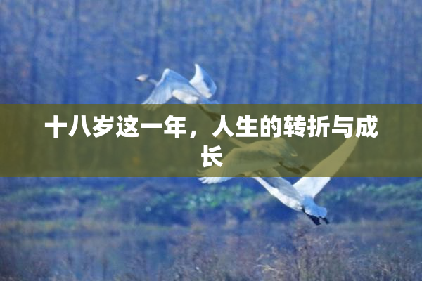 十八岁这一年，人生的转折与成长
