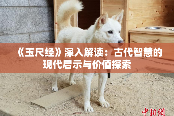 《玉尺经》深入解读：古代智慧的现代启示与价值探索