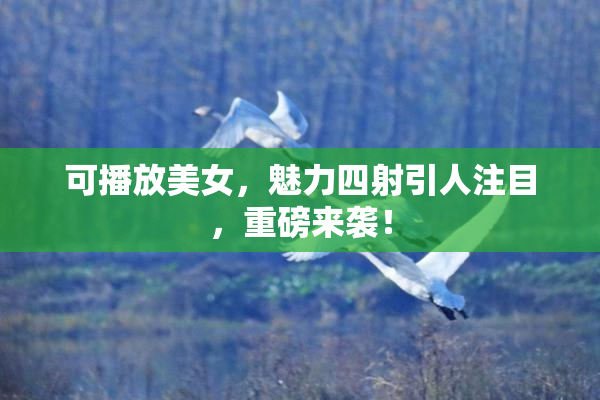 可播放美女，魅力四射引人注目，重磅来袭！