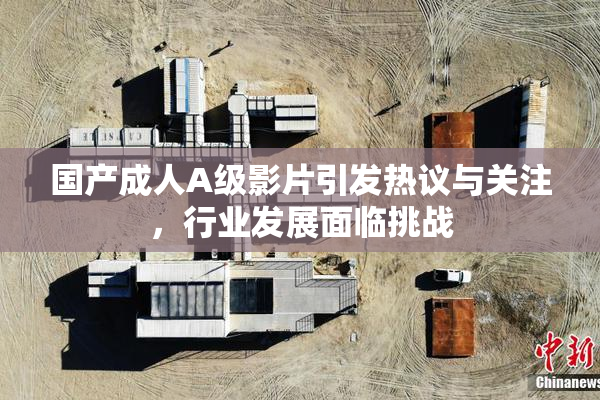 国产成人A级影片引发热议与关注，行业发展面临挑战