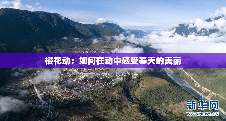 樱花动：如何在动中感受春天的美丽