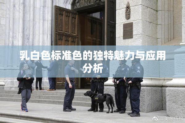 乳白色标准色的独特魅力与应用分析