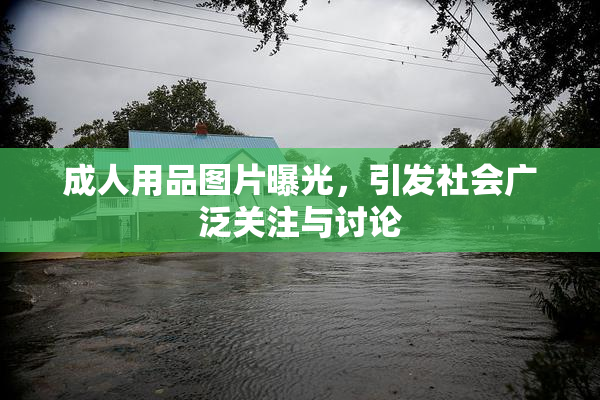 成人用品图片曝光，引发社会广泛关注与讨论