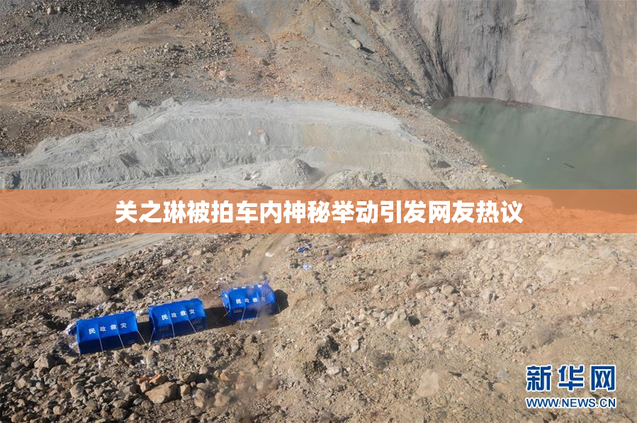 关之琳被拍车内神秘举动引发网友热议