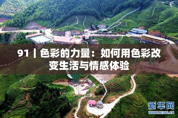 91丨色彩的力量：如何用色彩改变生活与情感体验