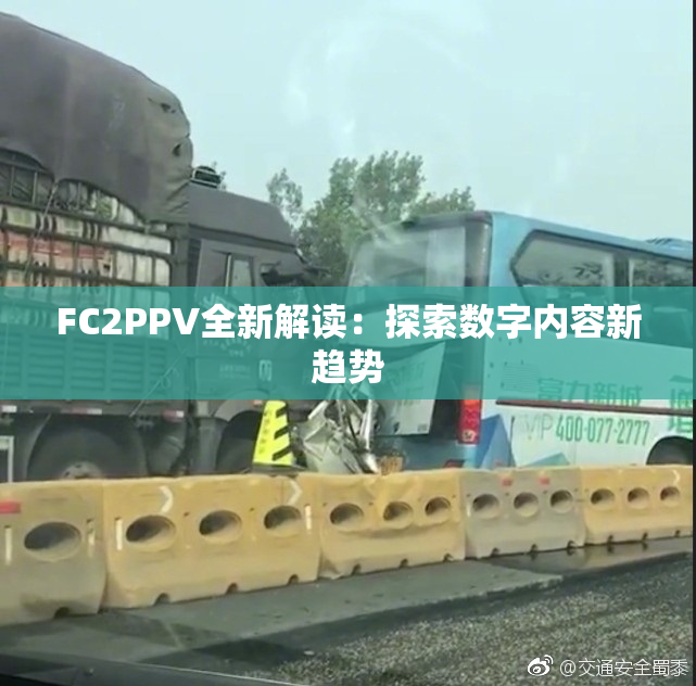 FC2PPV全新解读：探索数字内容新趋势