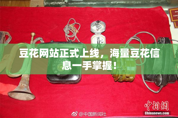 豆花网站正式上线，海量豆花信息一手掌握！