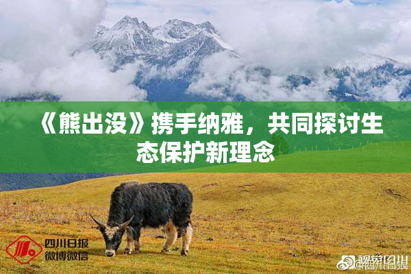 《熊出没》携手纳雅，共同探讨生态保护新理念