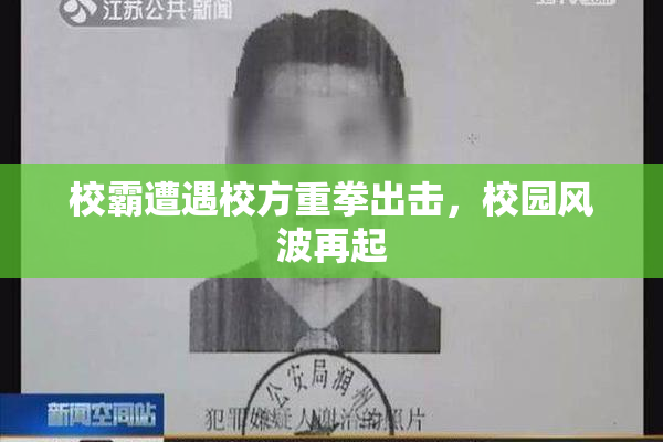 校霸遭遇校方重拳出击，校园风波再起