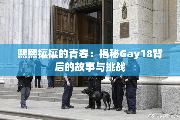 熙熙攘攘的青春：揭秘Gay18背后的故事与挑战