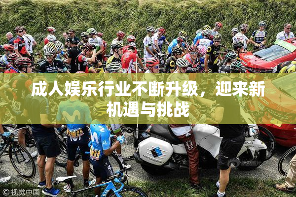 成人娱乐行业不断升级，迎来新机遇与挑战