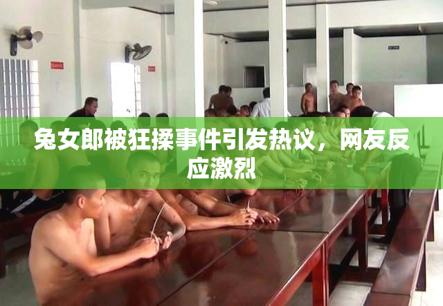 兔女郎被狂揉事件引发热议，网友反应激烈