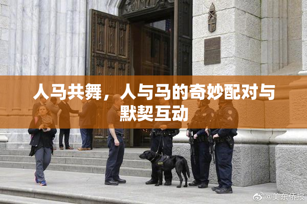 人马共舞，人与马的奇妙配对与默契互动