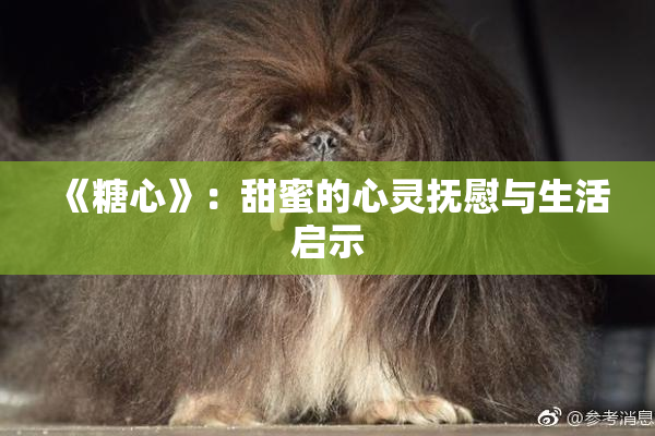 《糖心》：甜蜜的心灵抚慰与生活启示