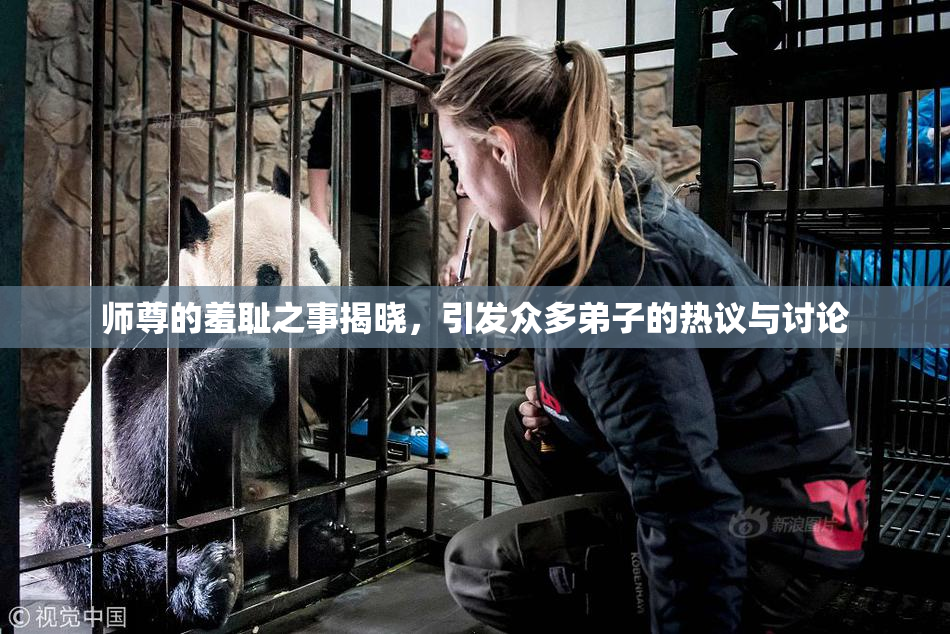 师尊的羞耻之事揭晓，引发众多弟子的热议与讨论