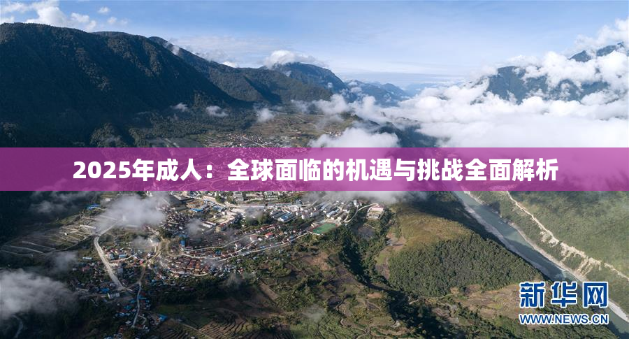 2025年成人：全球面临的机遇与挑战全面解析
