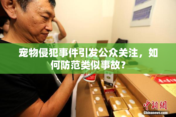 宠物侵犯事件引发公众关注，如何防范类似事故？