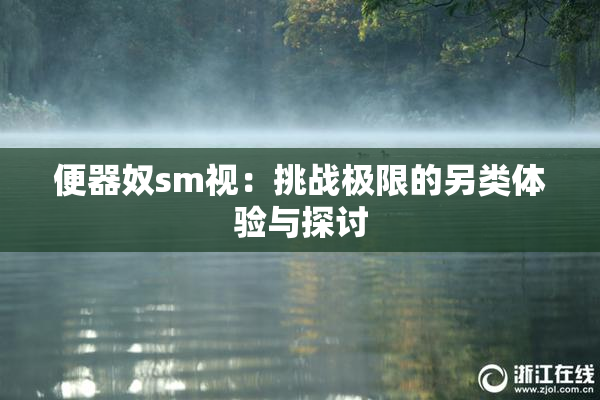 便器奴sm视：挑战极限的另类体验与探讨
