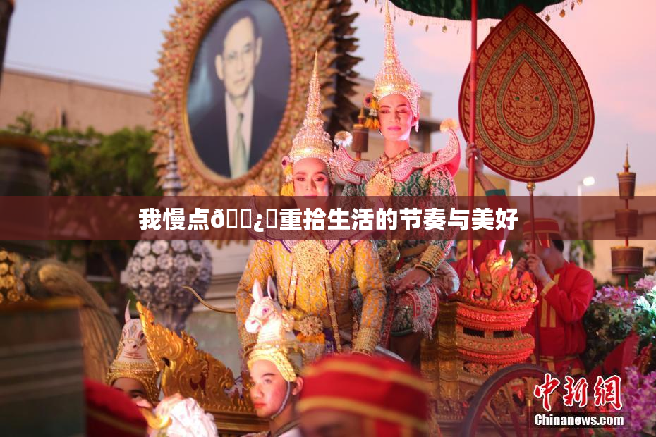 我慢点🌿‌重拾生活的节奏与美好