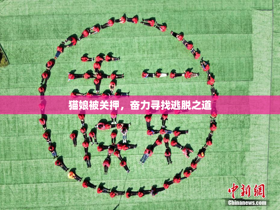 猫娘被关押，奋力寻找逃脱之道