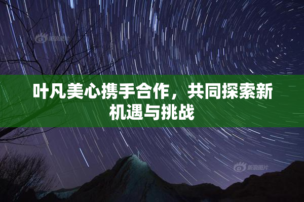 叶凡美心携手合作，共同探索新机遇与挑战