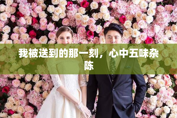 我被送到的那一刻，心中五味杂陈