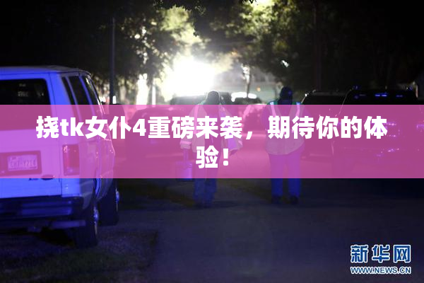 挠tk女仆4重磅来袭，期待你的体验！