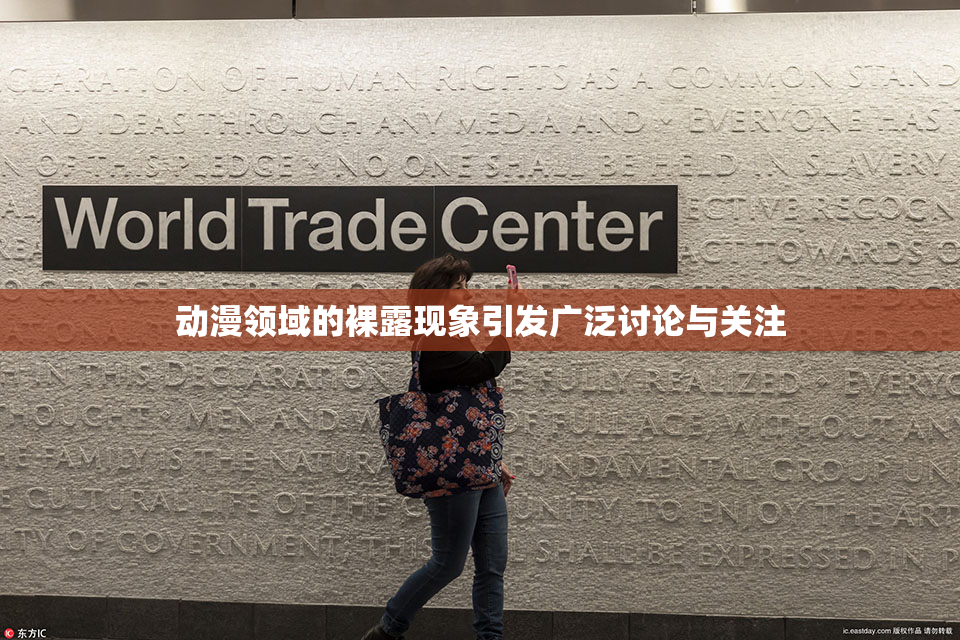 动漫领域的裸露现象引发广泛讨论与关注