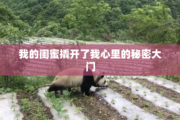 我的闺蜜撬开了我心里的秘密大门
