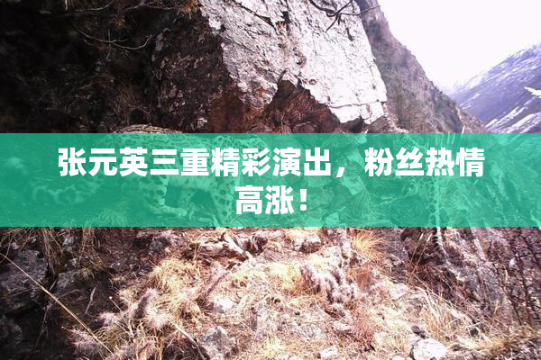 张元英三重精彩演出，粉丝热情高涨！