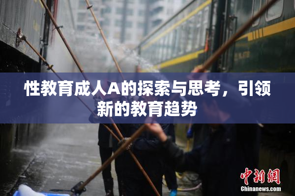 性教育成人A的探索与思考，引领新的教育趋势