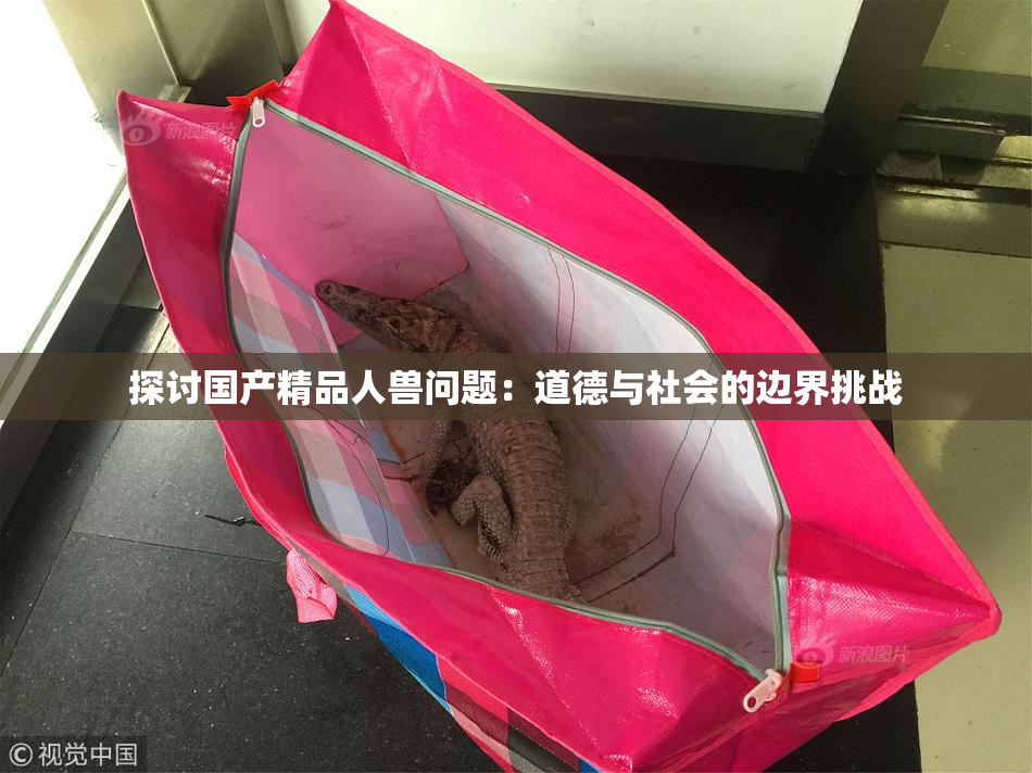 探讨国产精品人兽问题：道德与社会的边界挑战