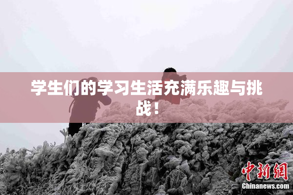 学生们的学习生活充满乐趣与挑战！