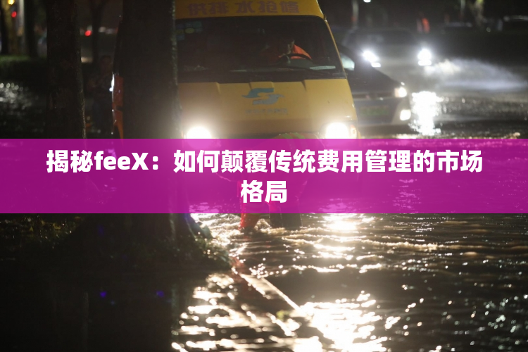 揭秘feeX：如何颠覆传统费用管理的市场格局