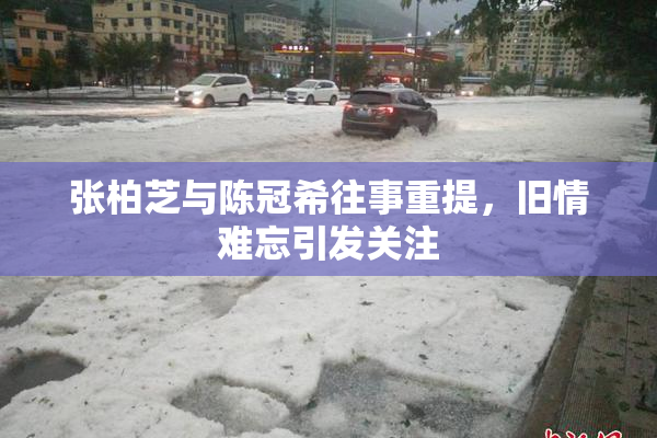 张柏芝与陈冠希往事重提，旧情难忘引发关注
