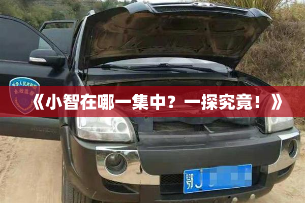 《小智在哪一集中？一探究竟！》