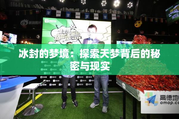 冰封的梦境：探索天梦背后的秘密与现实