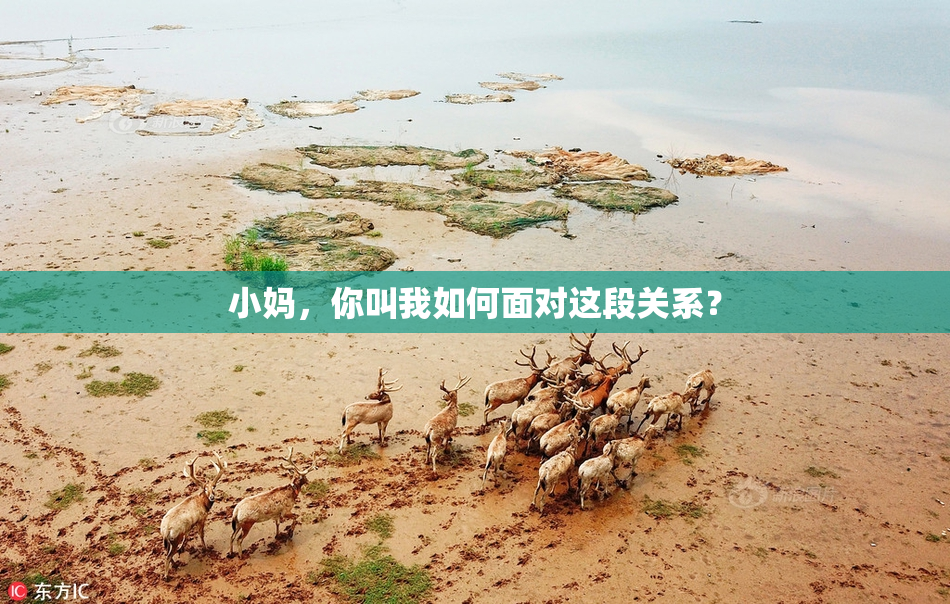 小妈，你叫我如何面对这段关系？