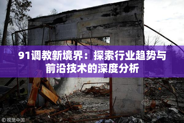 91调教新境界：探索行业趋势与前沿技术的深度分析