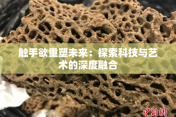 触手欲重塑未来：探索科技与艺术的深度融合