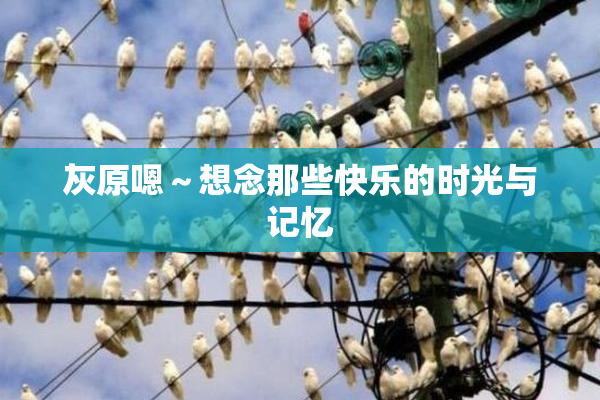 灰原嗯～想念那些快乐的时光与记忆