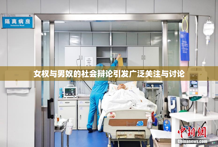 女权与男奴的社会辩论引发广泛关注与讨论
