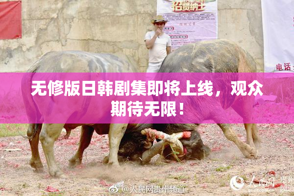 无修版日韩剧集即将上线，观众期待无限！