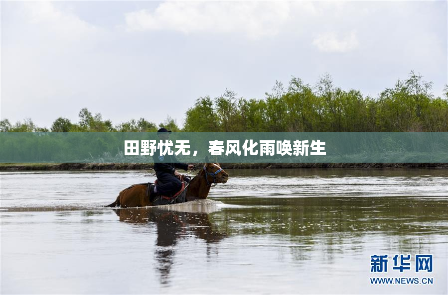 田野忧无，春风化雨唤新生