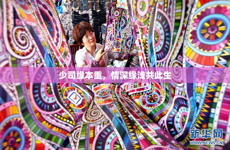 少司缘本重，情深缘浅共此生