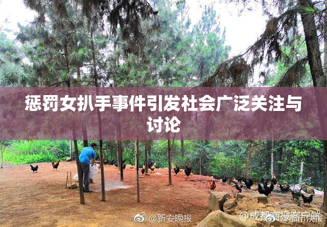 惩罚女扒手事件引发社会广泛关注与讨论
